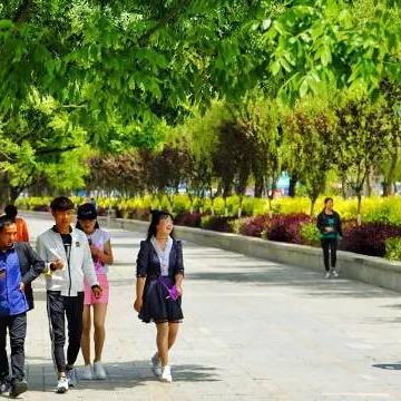 西宁街景最新动态今日播报
