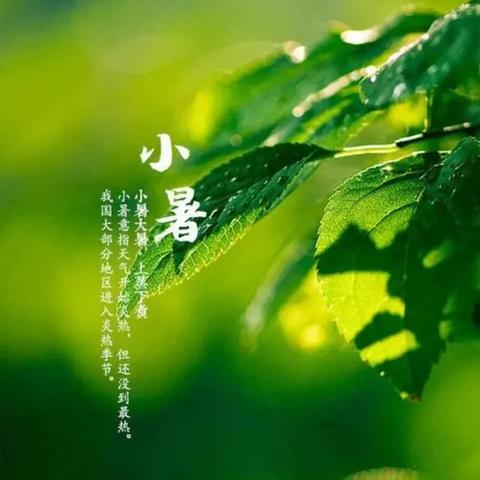 小暑时节，热门新歌大盘点