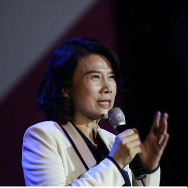 雷军最新消息数据图深度解析