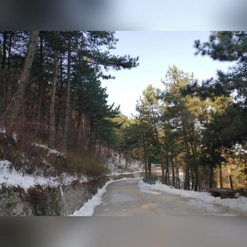 郑州大雪实时更新，今日雪情最新报道