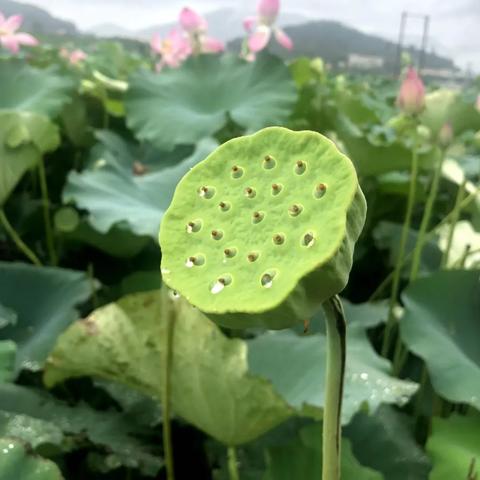重庆博赋企业引领经济发展新篇章。