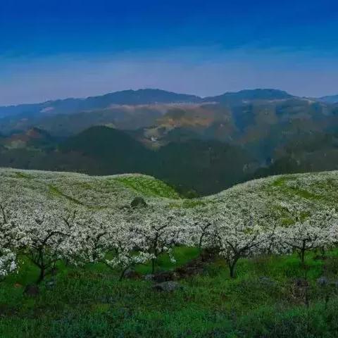 大竹石门新貌带动地方经济蓬勃发展新闻头条
