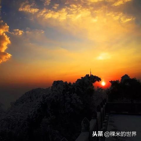 重庆博赋企业管理咨询公司市场分析展望报告发布