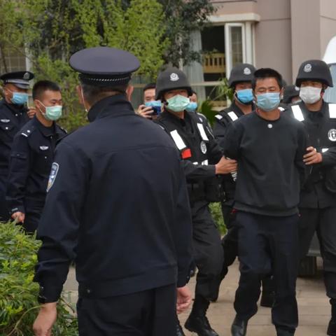 寻甸盗窃案最新视频，判决报告详解