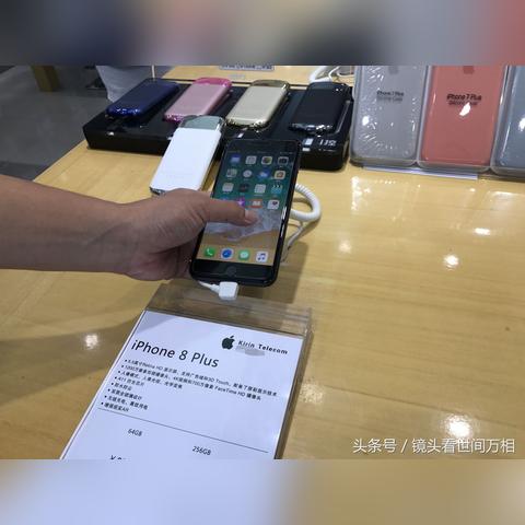 长春猪肉今日最新价格走势分析