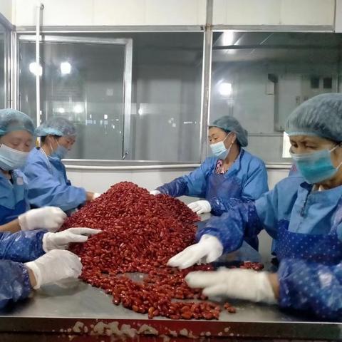 芸豆今日行情，最新价格与市场动态深度解析