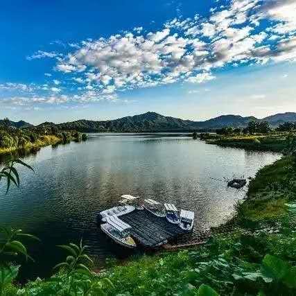 十堰陈庄水库最新动态报道