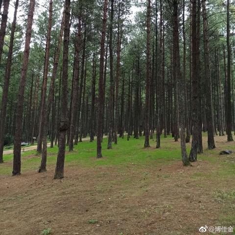 最新江城洗浴单间出租信息一览