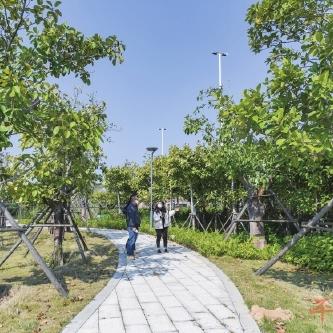 平潭最新疫情通告今日发布