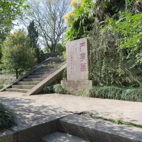 如意文物拍卖最新价格解读——文物市场趋势分析
