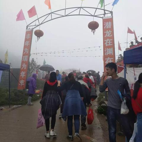 玉林周边二手大雨伞，最新信息与购买指南
