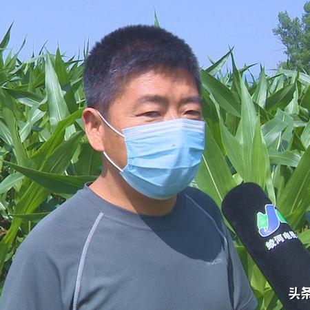 刬旧谋新