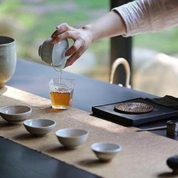 黄茶最新价格走势及分析简报