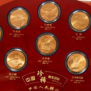海南废紫铜最新价格动态解析