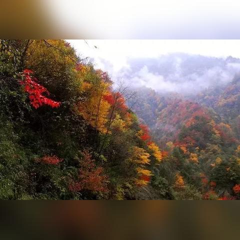 崇义至桂东公路规划更新动态