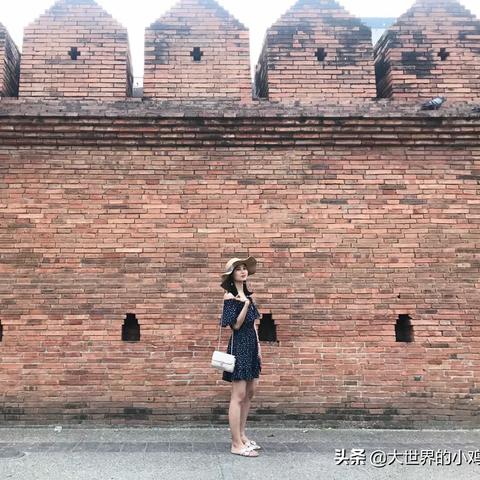 最新鸽子比赛路线表全解析及今日资讯