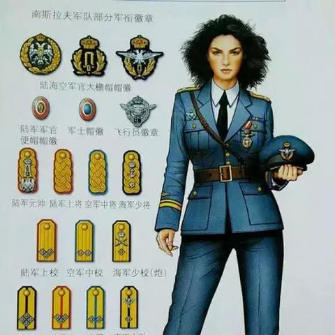 全球兵种分类最新报告概览