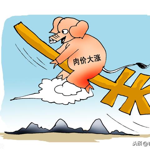 今日全国猪肉最新报价汇总