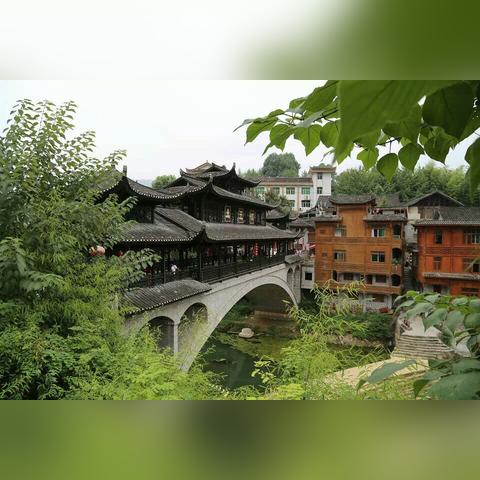 土家小木最新视频揭秘，数字背后的故事探秘