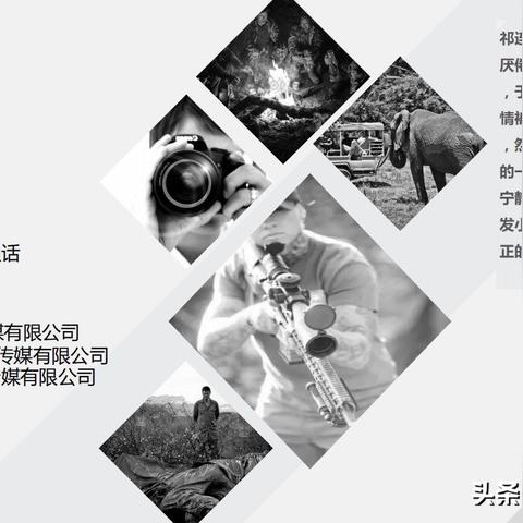 志博云天，最新书法作品鉴赏与欣赏