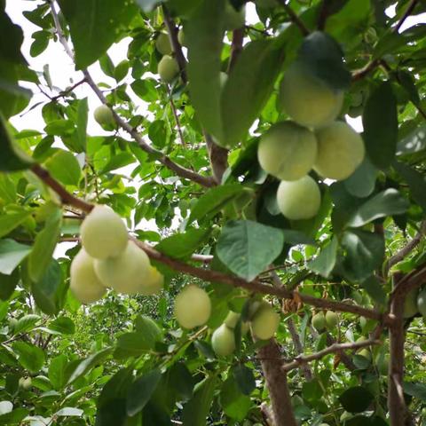 库尔勒高速最新消息今日播报