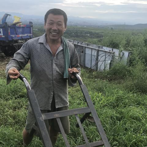 河南汝州今日猪价行情分析