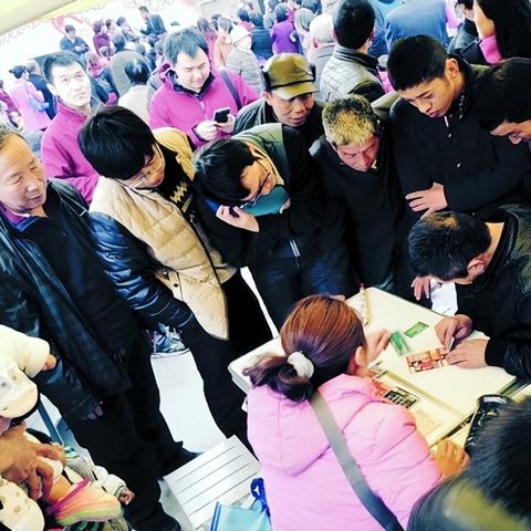 彩票店今日运营报告，最新数据及分析摘要