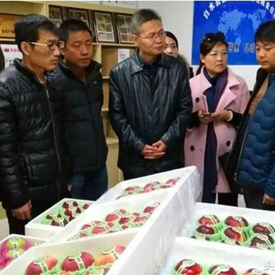 林皋湖最新视频揭秘，自然与人文的和谐共融