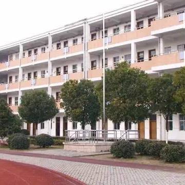 梅村初中搬迁全解析，最新校址数据与详解