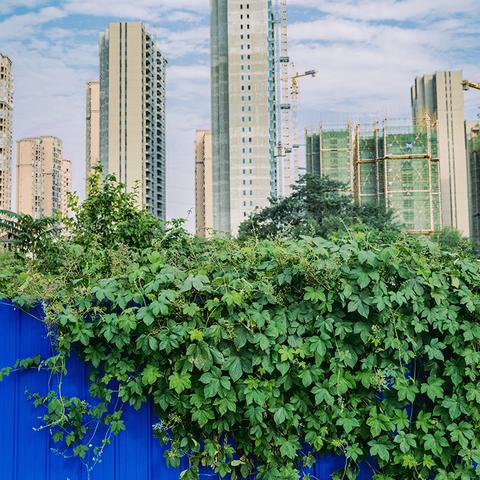 荆州土地拍卖最新动态，006号地块解析报告