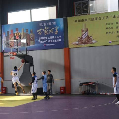 茅台金王子今日最新价格揭秘