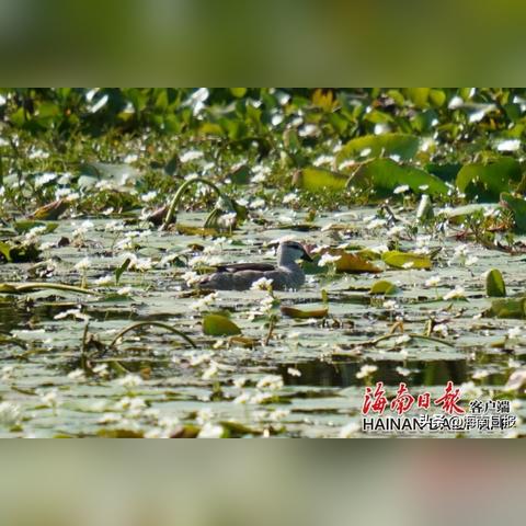 海尾镇中秋假期安排通知最新消息