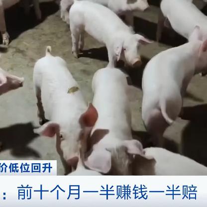 东成西就