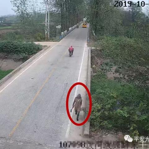 光山县车祸事件处理结果全面解析