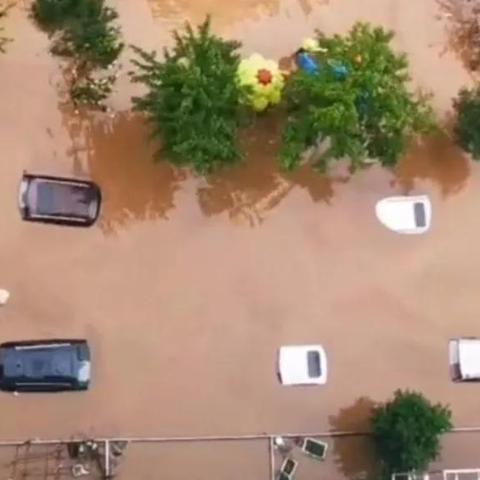 涿州抢菜视频曝光，危机中的民生百态实时报道