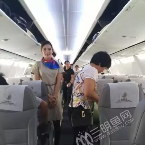 今日航班信息详解表，最新航班动态一网打尽。