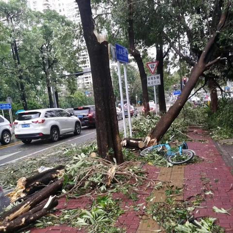 深圳台风最新实时情况报告更新