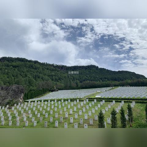 绵阳反巴政策最新动态报道