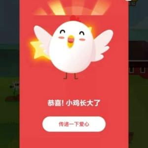 庄园最新答案今日揭秘，探索未知，解密今日答案