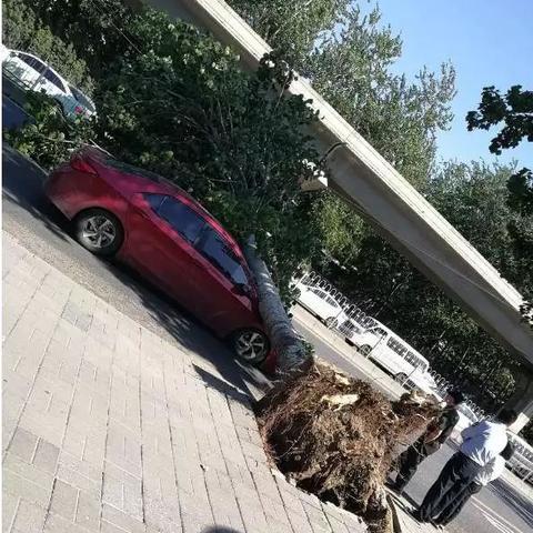 天各一方