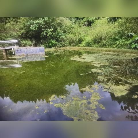 新闻报道