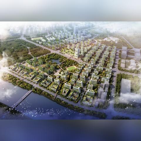 义乌网球大师最新排名榜全解析，数据详实
