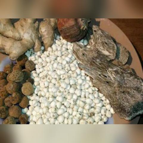 贝母最新市场行情分析与价格走势解读