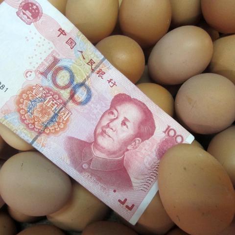 徐州蛋价今日行情分析与最新报价