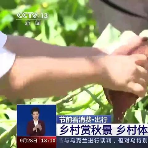 最新今日石滩热点关注