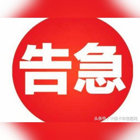 山东煤价今日行情动态及分析简报