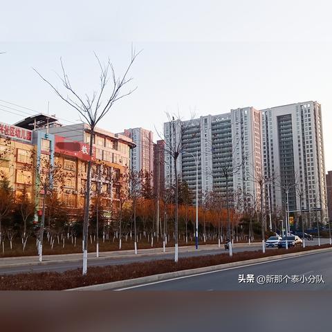 新泰发展动态揭秘，最新今日头条消息速递