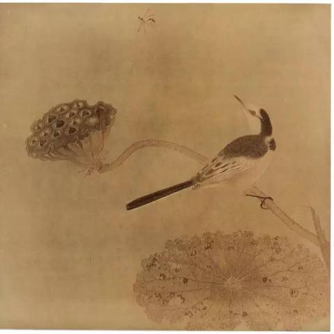 宋小鱼最新直播数据报告，今日深度分析