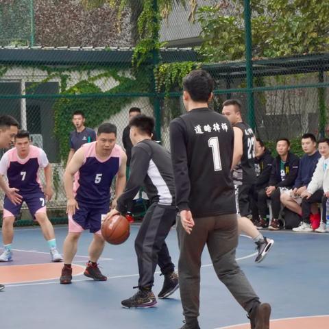 中国篮球分工最新动态报道