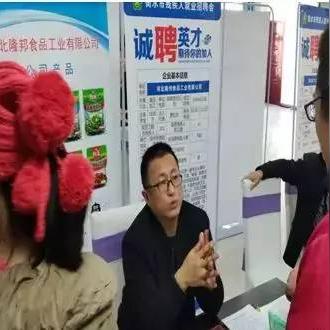 河北就业政策法规更新，最新动态与解读
